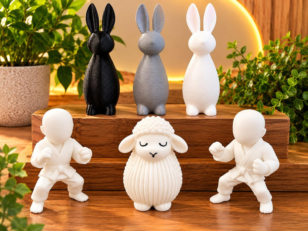 Custom 3D Printed Figurines Custom 3D printed decorative figurines including rabbits, sheep and martial arts figures